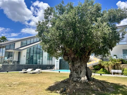 Slider image (2) Sea Recovery